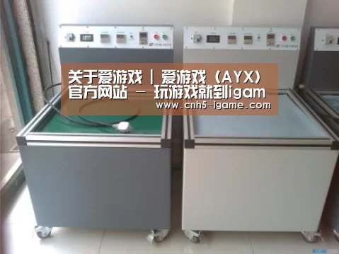 爱游戏案例展示二