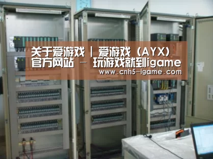 爱游戏案例展示五(图1)