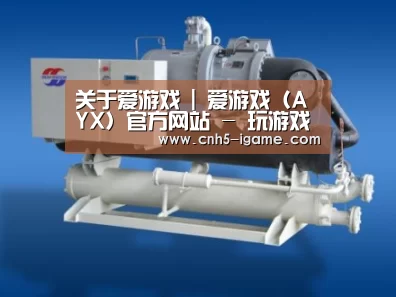 爱游戏案例展示四