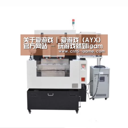 爱游戏产品名称八