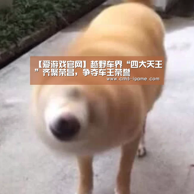 【爱游戏官网】越野车界“四大天王”齐聚荣昌,争夺车王荣誉(图1) 爱游戏官网