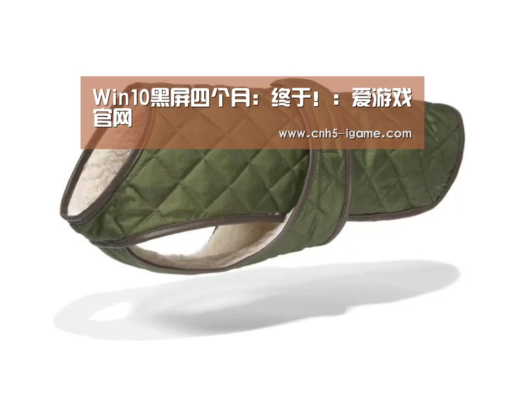 Win10黑屏四个月:终于!:爱游戏官网(图1) 爱游戏官网