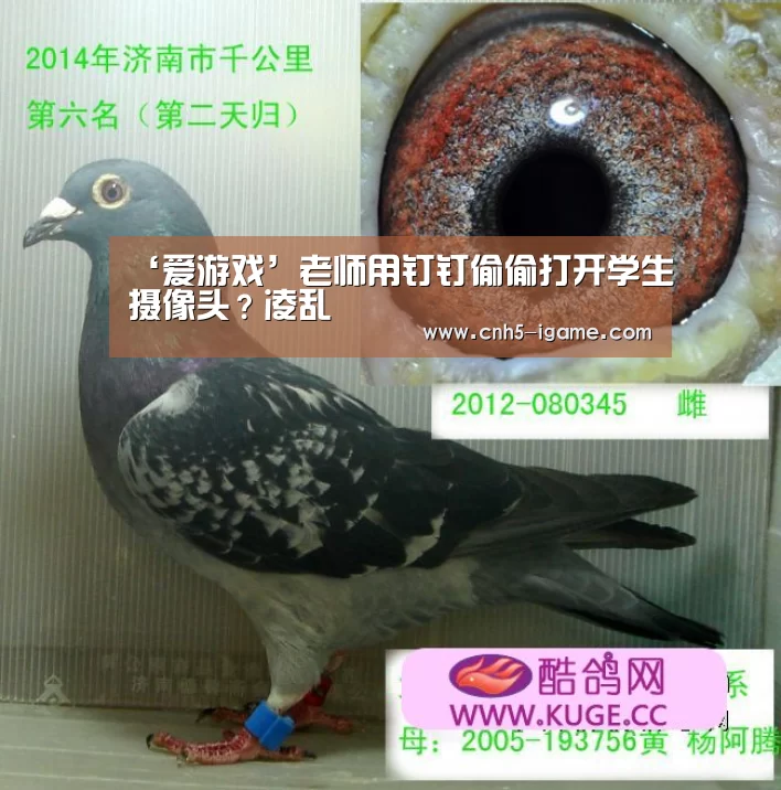 ‘爱游戏’老师用钉钉偷偷打开学生摄像头?凌乱(图1) 爱游戏官网