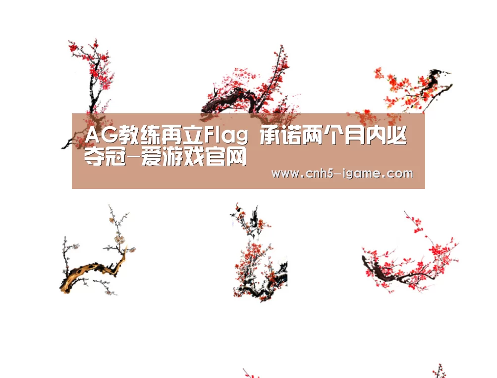 爱游戏